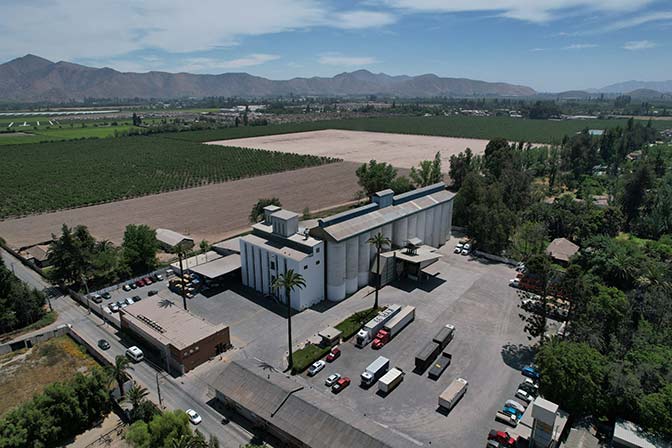 Cómo Molino Linderos logró diversificar su negocio en medio de la transformación del mercado panadero noti2